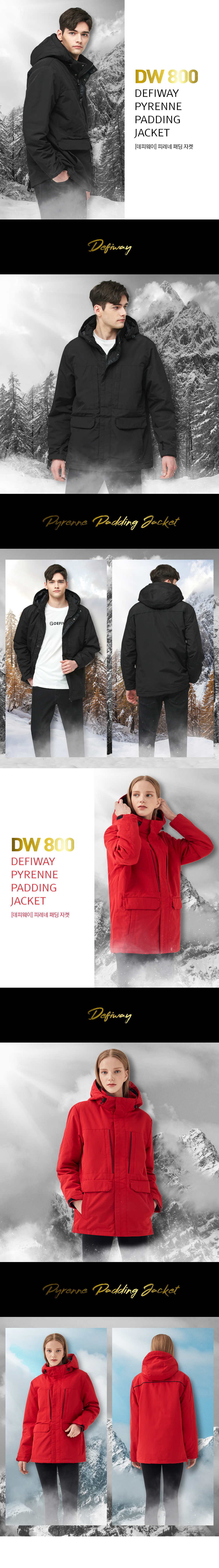 DK800_02.jpg